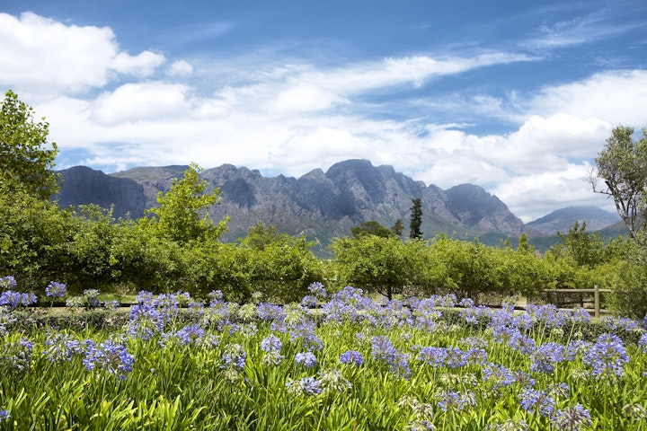 Boland Accommodation at La Cabrière Country House | Viya