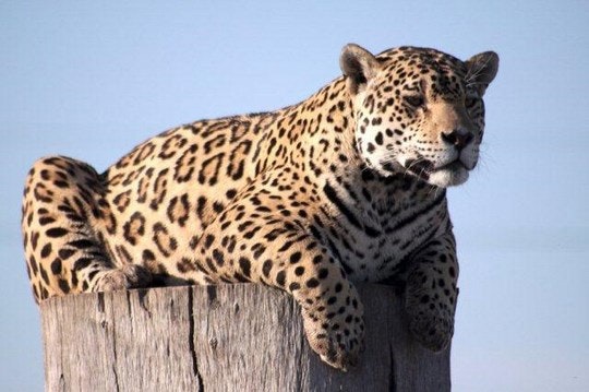 Jukani Wildlife Sanctuary