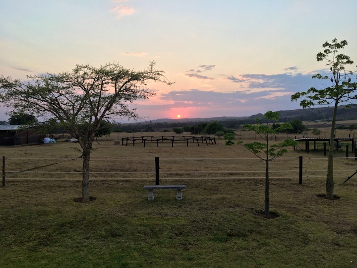 Gauteng Accommodation at Sanctuary Life Guest Farm | Viya