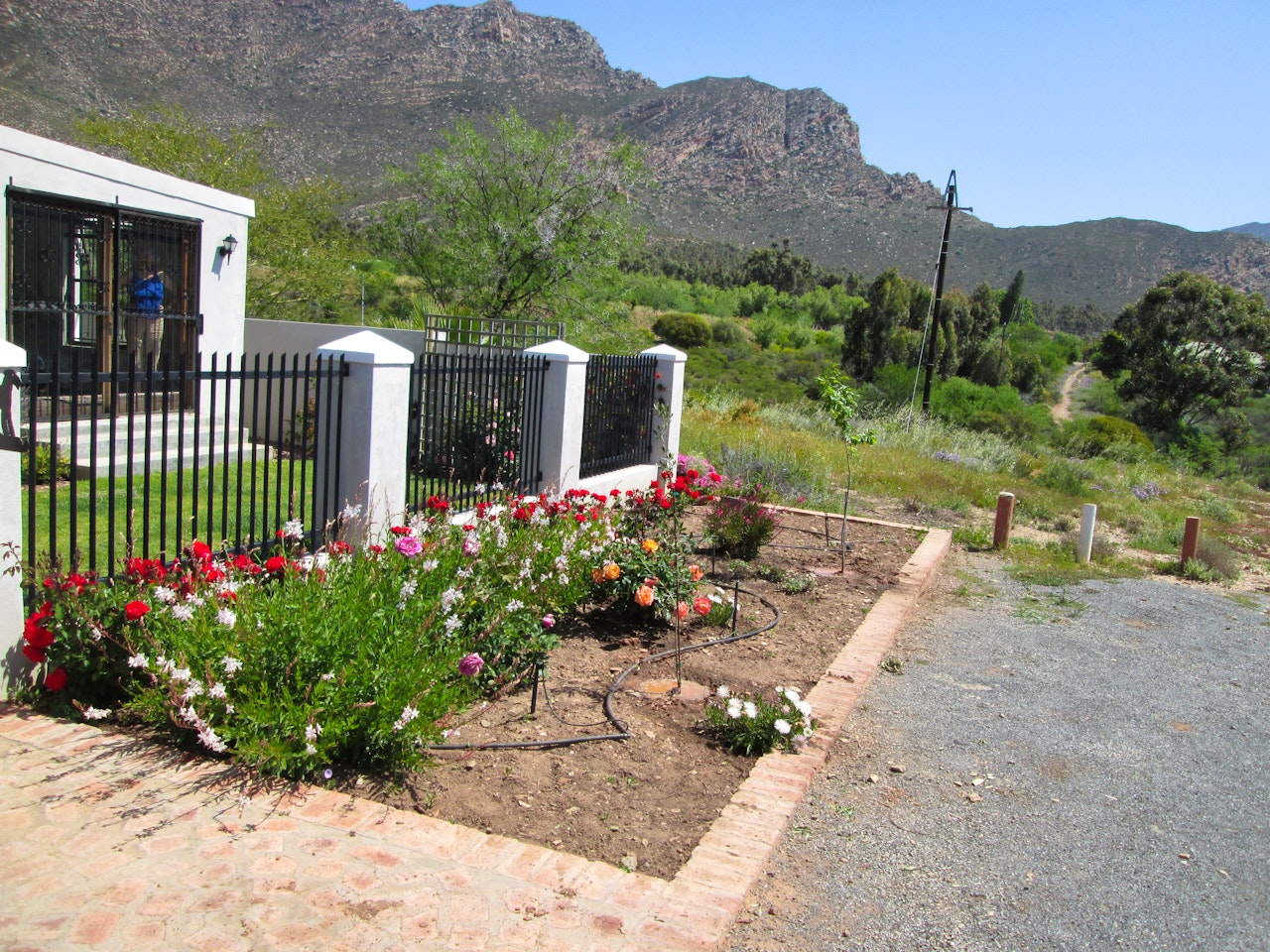 Cape Winelands Accommodation at  | Viya