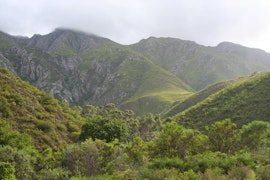 Cape Winelands Accommodation at De Hoop Cottages | Viya