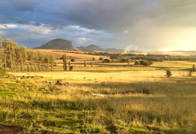  by Klaarfontein Guest Farm | LekkeSlaap