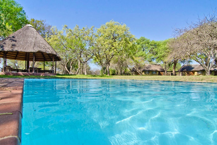 Limpopo Accommodation at Buffaloland Safaris - Giraffe Camp | Viya