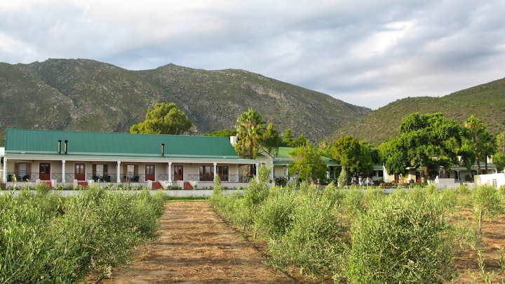 Cape Winelands Accommodation at Montagu Vines Guesthouse | Viya