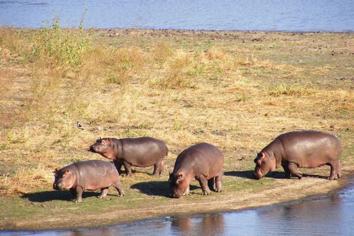 Tzaneen Dam Nature Reserve