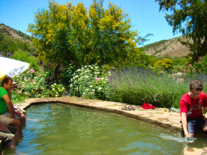 Eastern Cape Accommodation at Waterval Farm-Stay | Viya