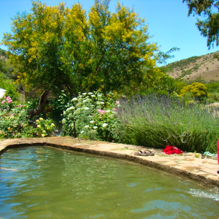 Eastern Cape Accommodation at Waterval Farm-Stay | Viya