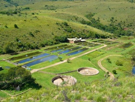 Panorama Route Accommodation at Nooitgedacht Trout Lodge | Viya