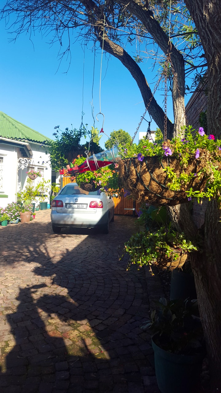 Western Cape Accommodation at O So Kozi | Viya