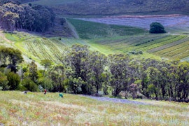 Overberg Accommodation at Laughing Waters Farm | Viya