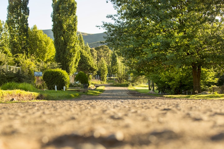 Drakensberg Accommodation at Golden View - Oak on Church | Viya