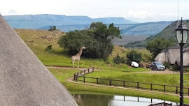 KwaZulu-Natal Accommodation at Penbi Game Ranch | Viya