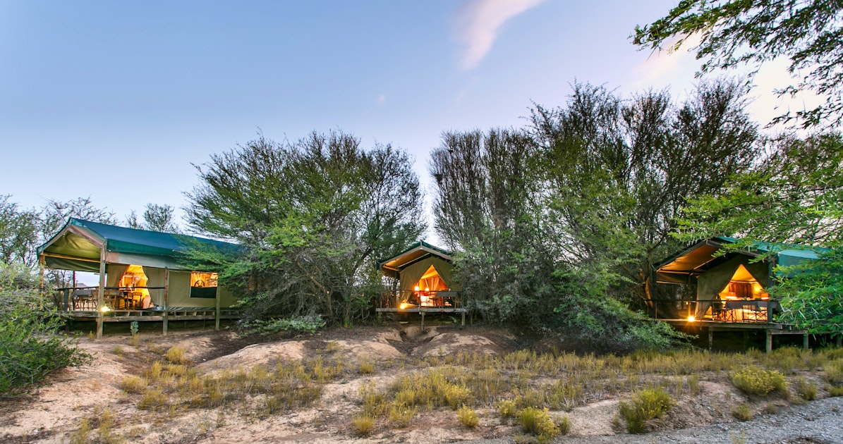 Chandelier Game Lodge & Ostrich Show Farm LekkeSlaap