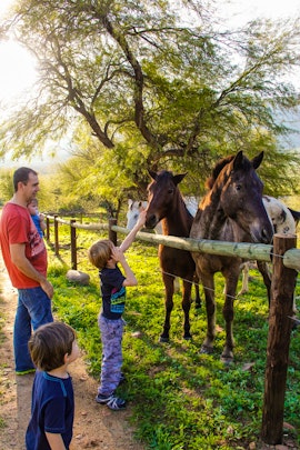 Western Cape Accommodation at Enjo Nature Farm | Viya