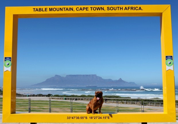 Table Mountain Frame, Eden On The Bay