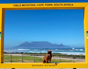 Table Mountain Frame, Eden On The Bay