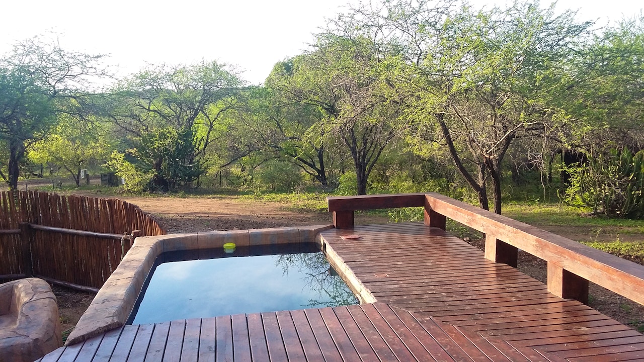 Kruger National Park South Accommodation at  | Viya