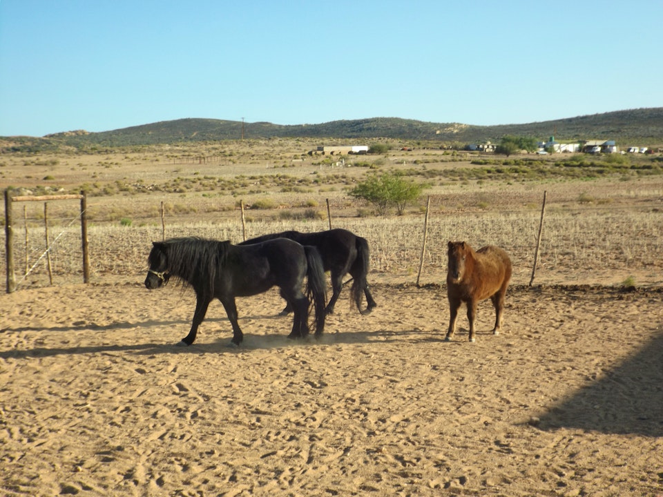 Namaqualand Accommodation at  | Viya