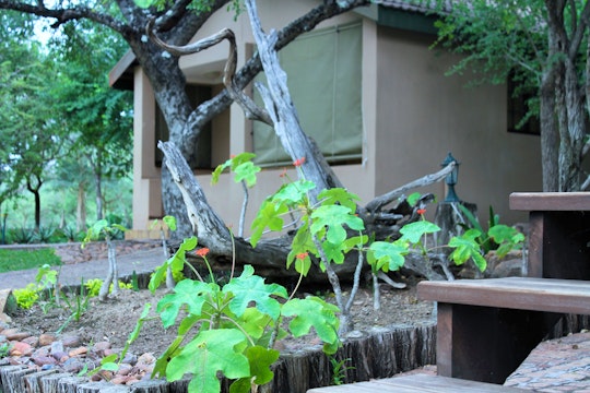 Kruger National Park South Accommodation at  | Viya