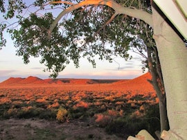 Karoo Accommodation at  | Viya