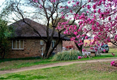  at Badfontein Guest Farm | TravelGround