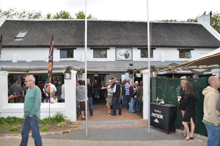 The Toad in the Village