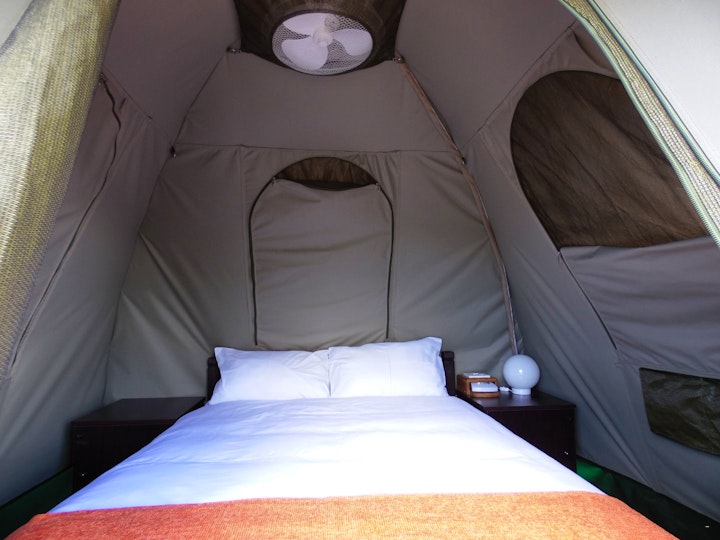 North Coast Accommodation at Budget Tented Village @ Urban Glamping | Viya