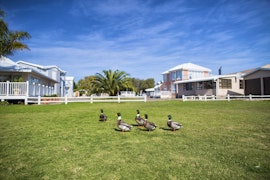 Mossel Bay Accommodation at Lagoonette | Viya