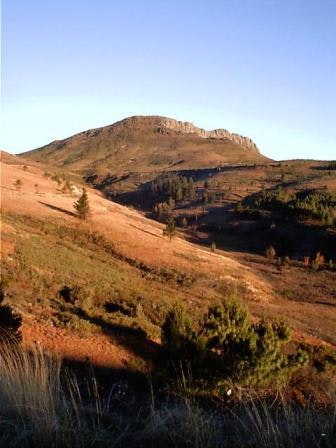 Lothlorien Cottage Hogsback