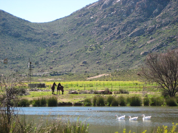 Northern Cape Accommodation at Pedroskloof Farm Accommodation | Viya