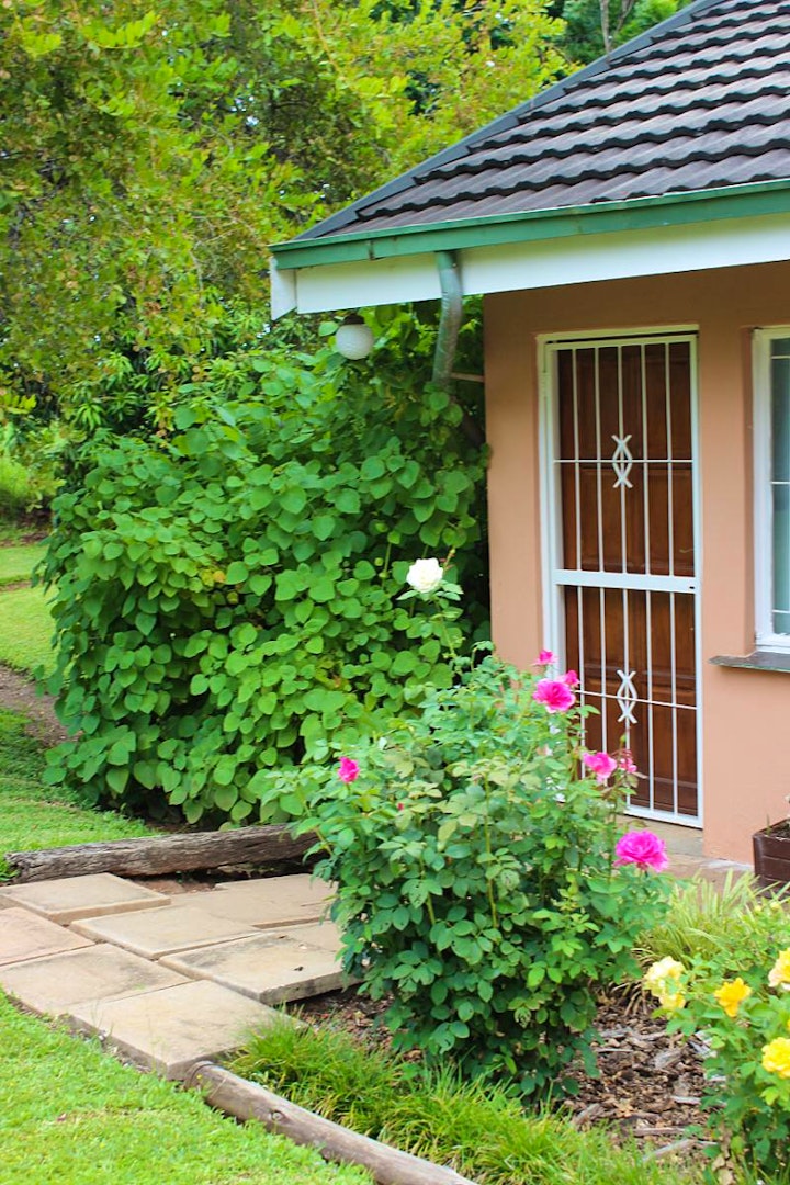 Limpopo Accommodation at Thi-Lou Guesthouse | Viya