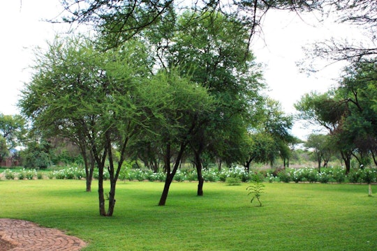 Limpopo Accommodation at  | Viya