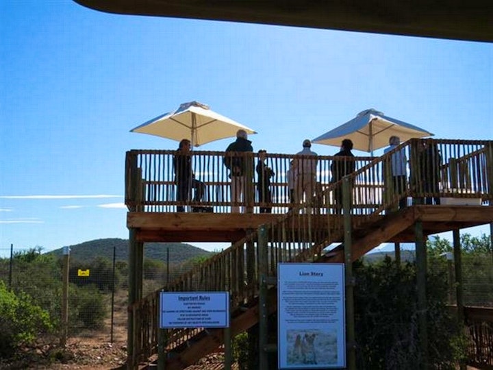 Western Cape Accommodation at Buffelsdrift Game Lodge | Viya