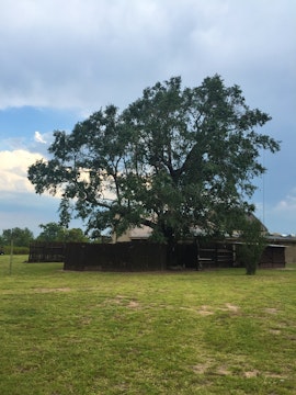 Hoedspruit Accommodation at Sunset Lodge & Safaris | Viya