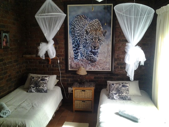 Kruger National Park South Accommodation at  | Viya