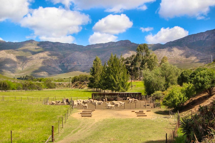 Western Cape Accommodation at Glen Eden Farm Guest Cottages | Viya