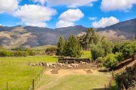 Western Cape Accommodation at Glen Eden Farm Guest Cottages | Viya