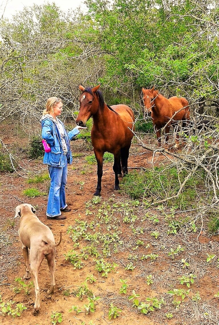 KwaZulu-Natal Accommodation at Chumbi Bush House | Viya