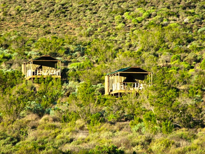 Northern Cape Accommodation at Agama Tented Camp | Viya