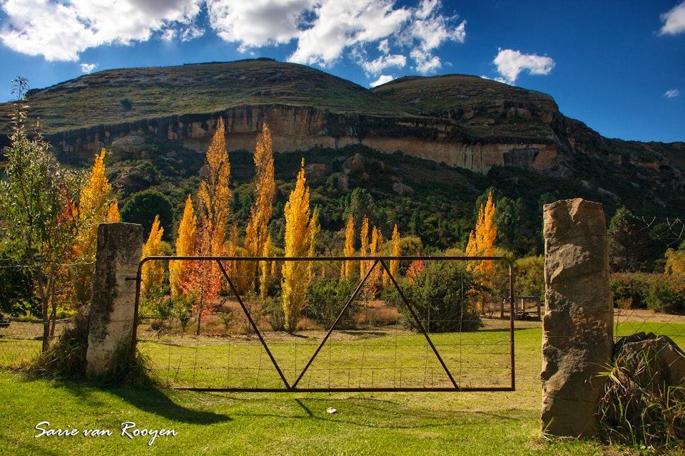 Drakensberg Accommodation at  | Viya