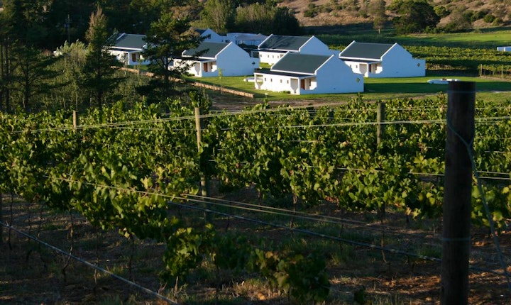 Western Cape Accommodation at Endless Vineyards at Wildekrans Wine Estate | Viya