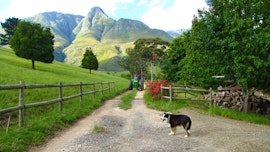 Overberg Accommodation at Eenuurkop Guest Farm | Viya