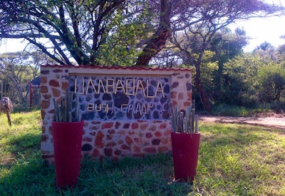  at Umbabala Bush Camp | TravelGround