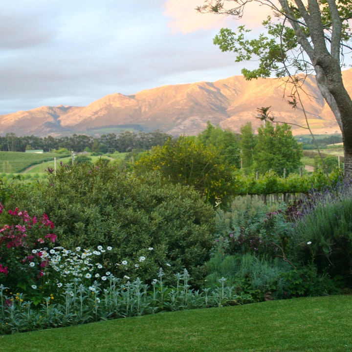 Overberg Accommodation at Belfield Wines and Farm Cottages | Viya