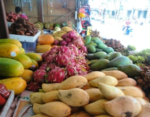 Prince Albert Farmers Market