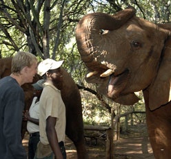 The Elephant Sanctuary, Hartbeespoort Dam