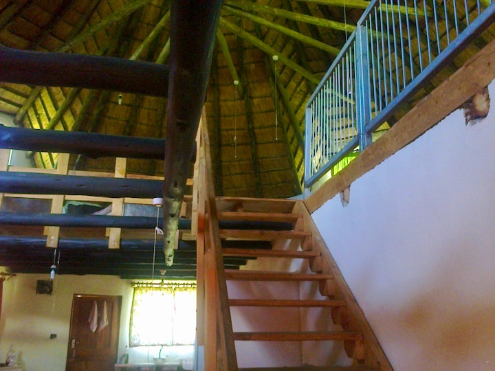 KwaZulu-Natal Accommodation at The Bird’s Nest | Viya