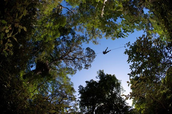 Tsitsikamma Canopy Tour