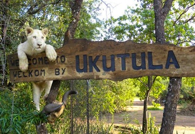  at Ukutula Lodge and Game Reserve | TravelGround