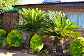 Kruger National Park South Accommodation at Cycas Guest House | Viya